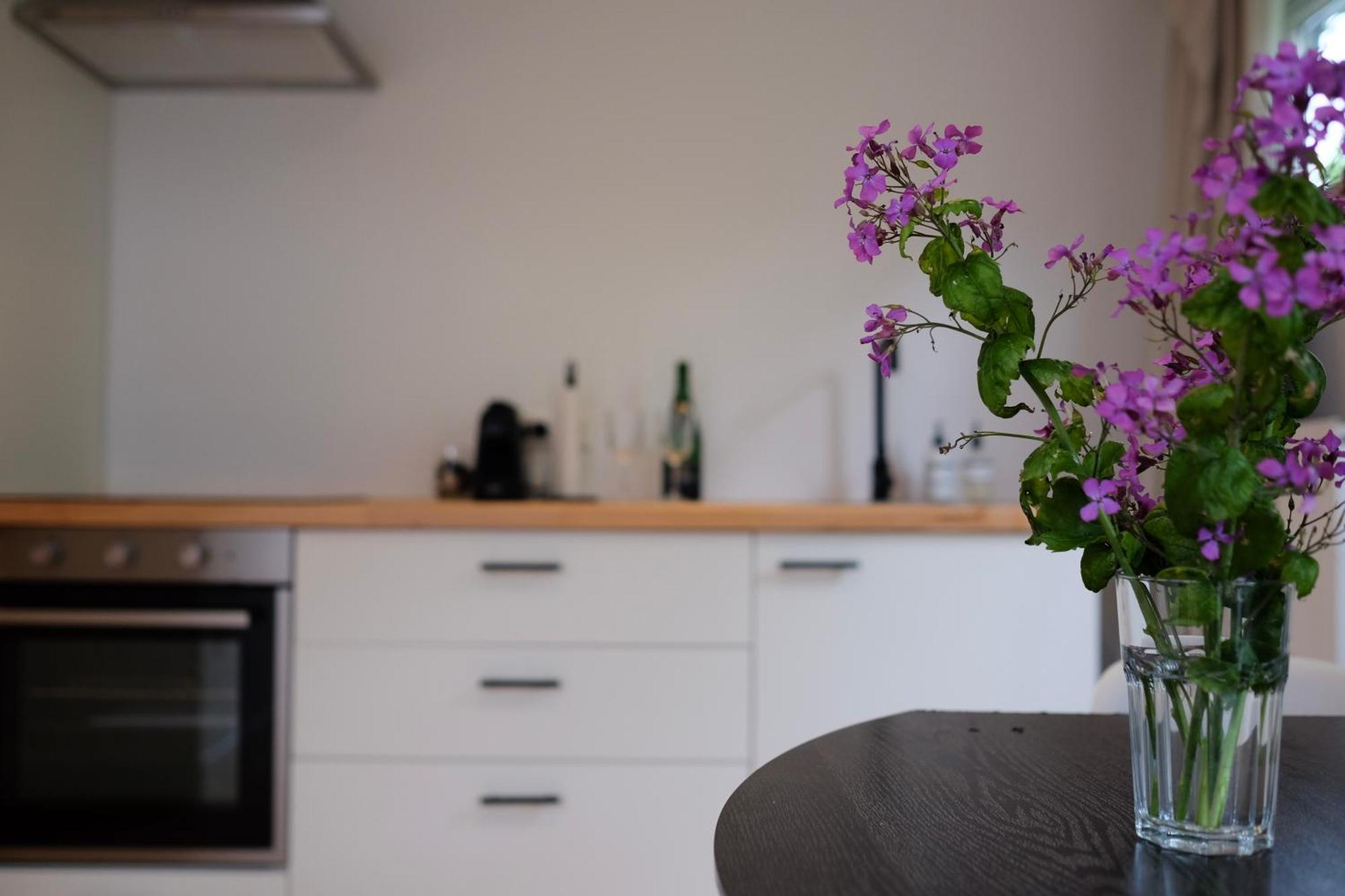 Beach Lodge 24 - Noordwijk Aan Zee - Met Eigen Tuin Ngoại thất bức ảnh